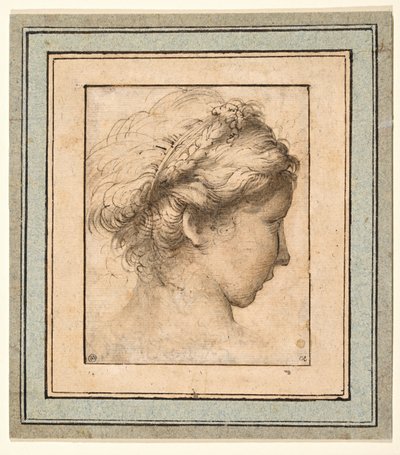 Profilkopf eines Mädchens, das nach rechts schaut von Parmigianino