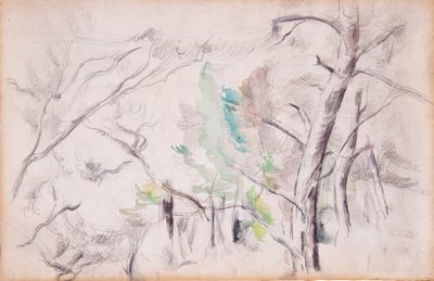 Bäume [recto]; Encagnane mit dem Pilon du Roi [verso] von Paul Cézanne