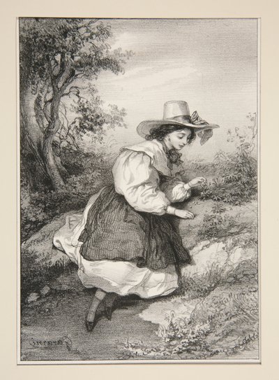 Die zwei Gänseblümchen von Paul Gavarni
