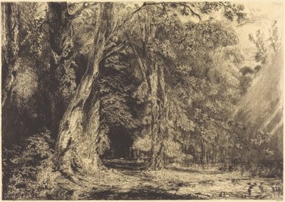 Überschwemmung im Wald der Île Séguin von Paul Huet