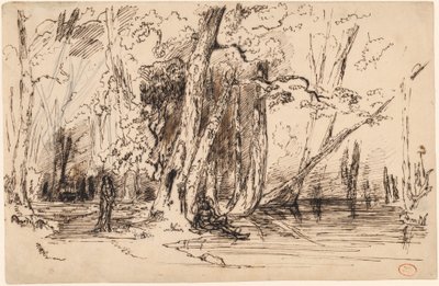 Überschwemmung im Wald der Île Séguin von Paul Huet