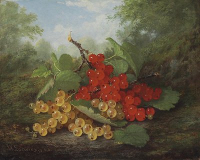 Stillleben mit roten und weißen Johannisbeeren von Paul Lacroix