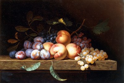 Pfirsiche, Pflaumen und Trauben auf einem Steinsims von Paul Liegeois