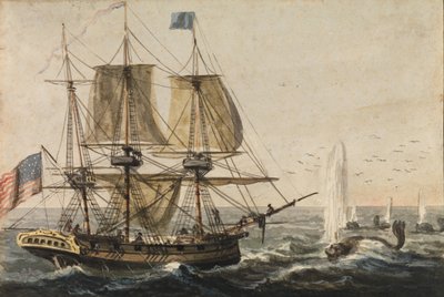 Auffüllen der Schiffsvorräte mit Kabeljau vor der Küste Neufundlands, 1811-ca. 1813 von Pavel Petrovic Svin