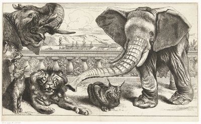 Elefanten, Löwen und Luchse in den Gärten von Versailles von Peeter Boel (attributed to)