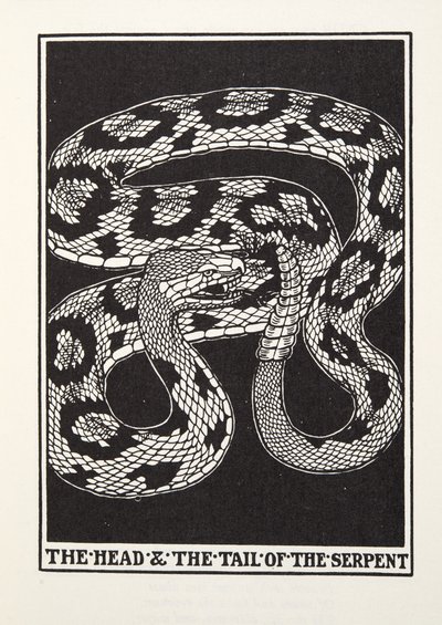 Der Kopf und der Schwanz der Schlange, aus Fontaine Fables, veröffentlicht 1905 von Percy J. Billingshurst
