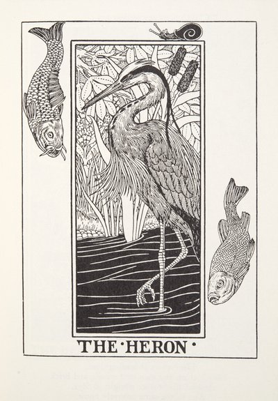 Der Reiher, aus Fontaine Fabeln, veröffentlicht 1905 von Percy J. Billingshurst