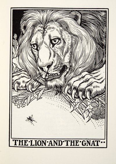 Der Löwe und die Mücke, aus Fontaine Fabeln, veröffentlicht 1905 von Percy J. Billingshurst