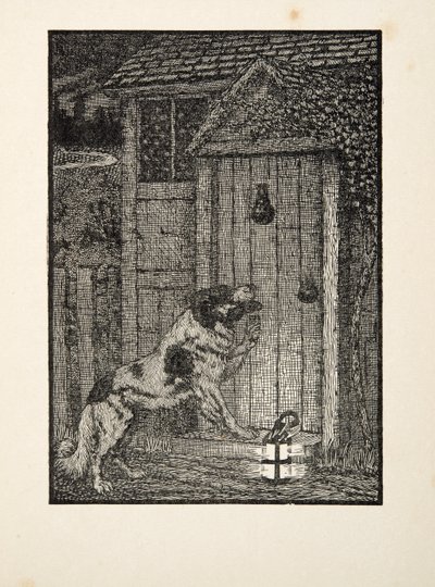 Der Neufundländer Hund, aus Hundert Anekdoten über Tiere, veröffentlicht 1924 von Percy J. Billingshurst