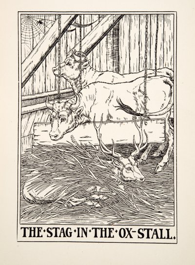 Der Hirsch im Ochsenstall, aus Hundert Fabeln von Äsop, veröffentlicht 1903 (Gravur) von Percy J. Billingshurst