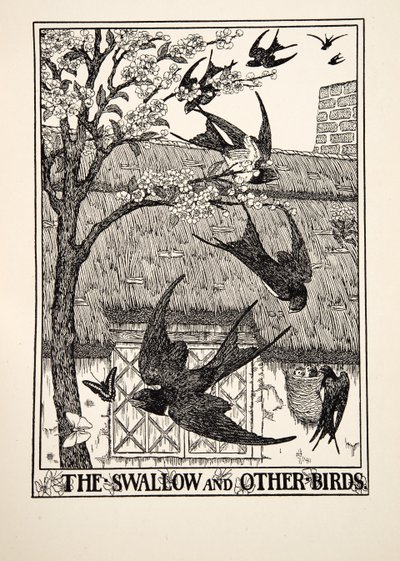 Die Schwalbe und andere Vögel, aus Hundert Fabeln von Äsop, veröffentlicht 1903 von Percy J. Billingshurst