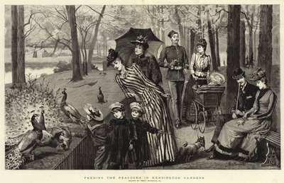 Pfauen füttern in den Kensington Gardens (Gravur) von Percy Macquoid