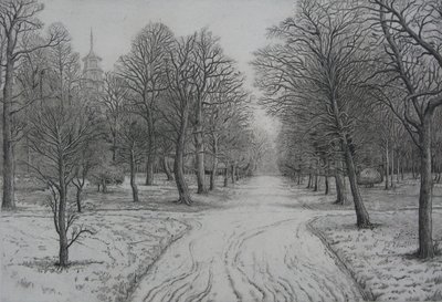 Kew Gardens im Winter von Peter A Ford