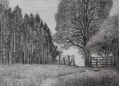 Der Waldweg - Frühling von Peter A Ford
