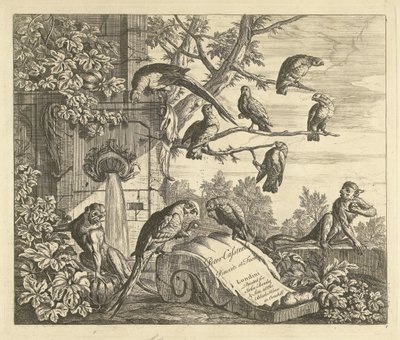 Papageien und Äffchen bei einem Gartenbrunnen (Verschiedene Vögel) von Peter Casteels (III)