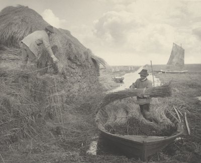 Schilfrohr ernten, 1886 von Peter Henry Emerson, Thomas Frederick Goodall