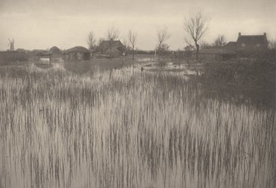 Ein schilfiges Ufer, 1886 von Peter Henry Emerson