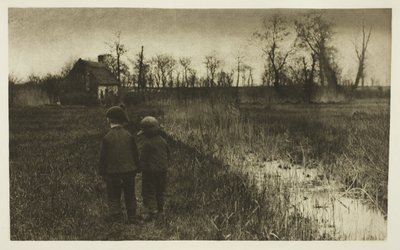 Eine Kröte auf dem Weg: Früher Frühling in Norfolk von Peter Henry Emerson