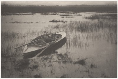 Schütze pirscht sich an Federwild heran von Peter Henry Emerson