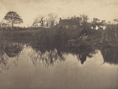 Staken auf dem Gladdon von Peter Henry Emerson