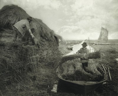 Das Aufschobern des Schilfs von Peter Henry Emerson