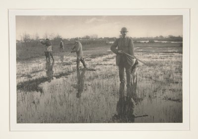 Schnepfenjagd von Peter Henry Emerson