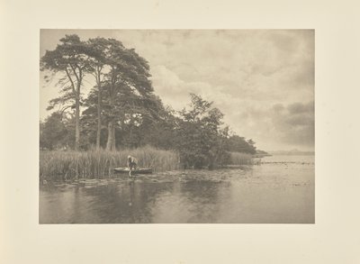 Das Revier des Hechts von Peter Henry Emerson