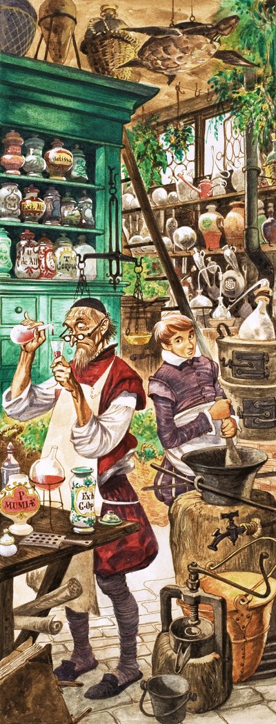Es war einmal... Ärzte und Krankenhäuser in der Tudor-Zeit von Peter Jackson