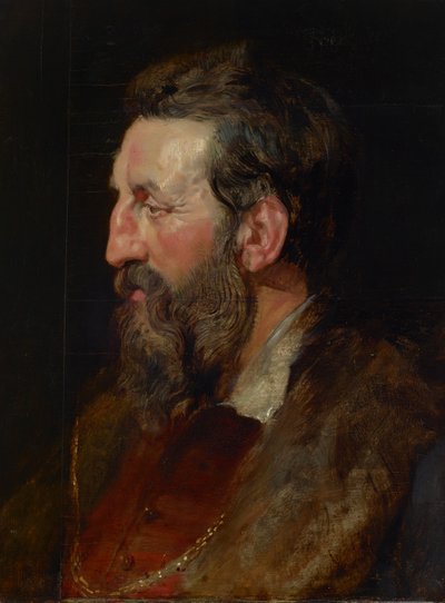 Porträt eines Mannes, ca. 1615 von Peter Paul Rubens