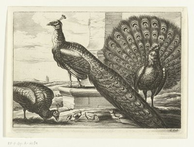 Pfauen von Peter van Liesebetten