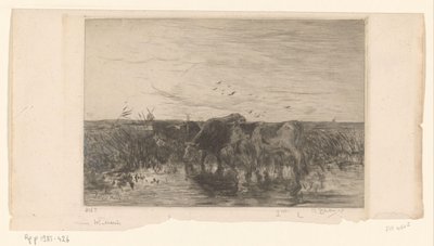 Kühe am Wasser in einer Weide von Philip Zilcken (signed by artist)
