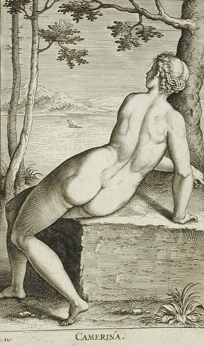 Camerina von Philips Galle