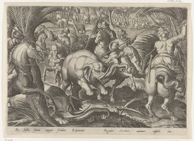 Elefantenjagd von Philips Galle
