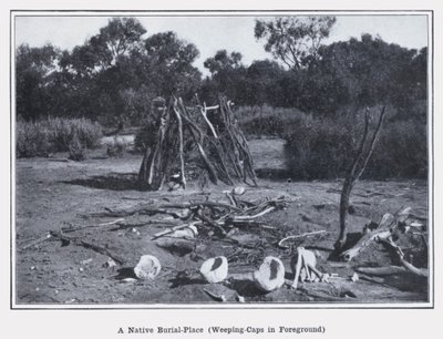 Ein einheimischer Begräbnisplatz, Weeping-Caps im Vordergrund (s/w Foto) von Photographer Australian