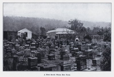 Eine Bienenfarm in New South Wales von Photographer Australian