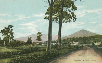 Healesville, Victoria, Australien von Photographer Australian