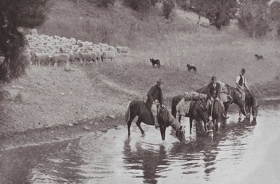 Die Rast, typische australische Viehhirten von Photographer Australian