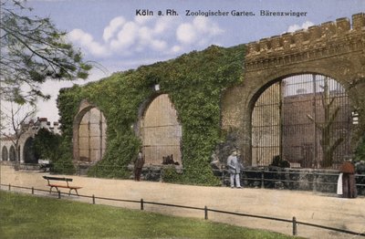 Kölner Zoo, Bären von Photographer German