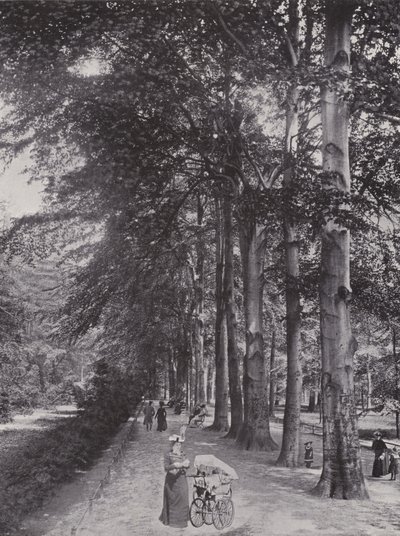 Im Tiergarten, Ein schattiger Weg von Photographer German