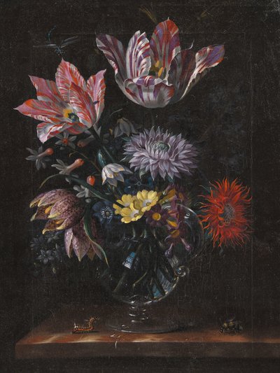 Unbekannt von Jacob Marrel von Pictufy