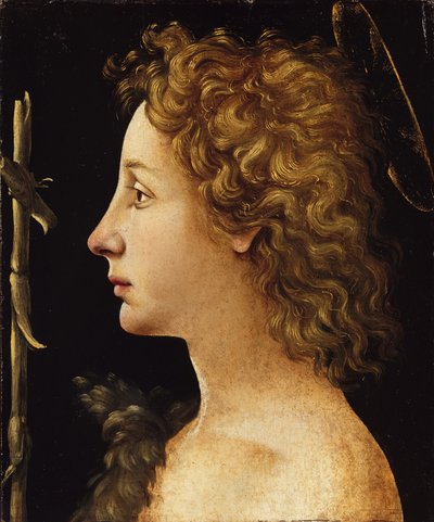 Der junge Heilige Johannes der Täufer von Piero di Cosimo