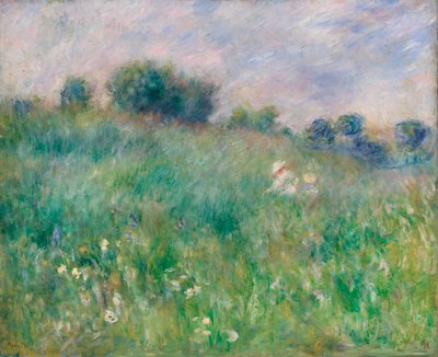 Wiese von Pierre-Auguste Renoir