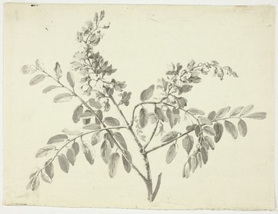 Der blühende Zweig von Pierre Antoine Mongin