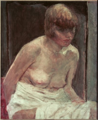 Torso einer jungen Frau im weißen Morgenmantel von Pierre Bonnard