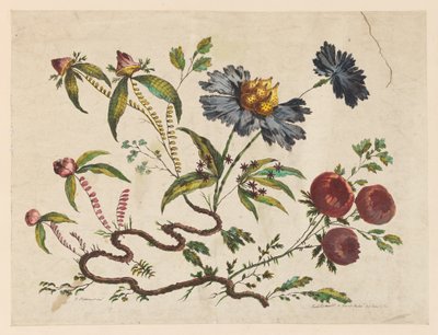 Blumenzweige, aus "Recueil de Differentes Fleurs de Fantaisie Dans le Goût Chinois" von Pierre Charles Canot