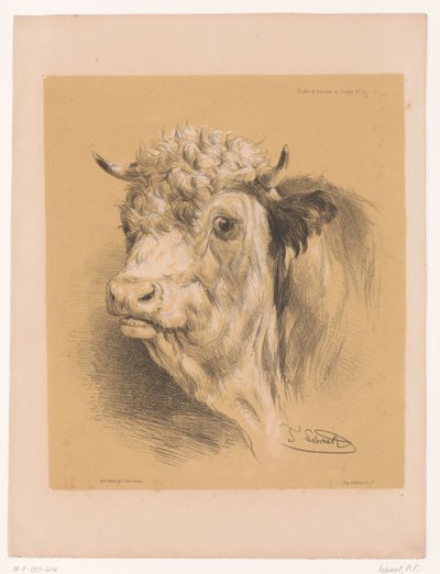 Studie eines Ochsen (Tierstudien von Cooper) von Pierre Frédéric Lehnert