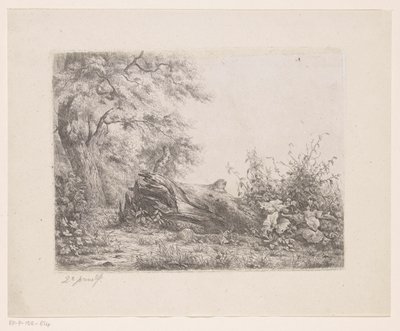 Umgestürzter Baum am Waldrand von Pierre Louis Dubourcq