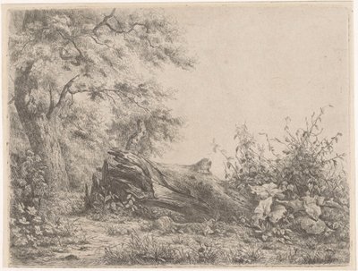 Umgestürzter Baum am Waldrand von Pierre Louis Dubourcq