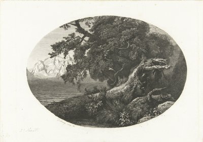 Entwurzelter Baumstamm an der Küste von Pierre Louis Dubourcq