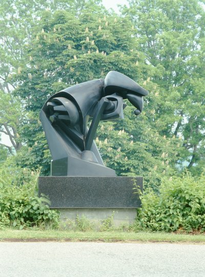 Das Pferd von Pierre Maurice Raymond Duchamp Villon
